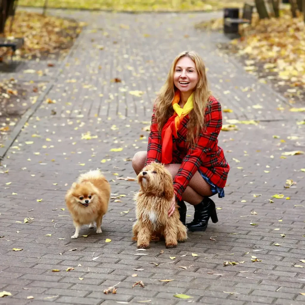 Comparison of a puppy and a full grown Cavapoo coat with owner
